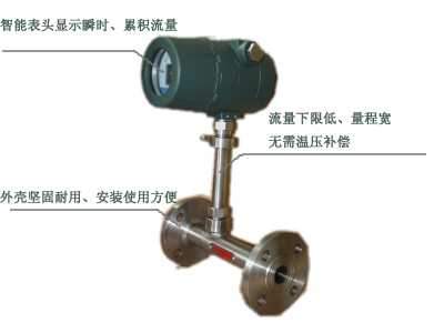 DF-12熱式氣體質(zhì)量流量計